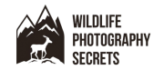 wildlife_photography_secrets